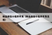 精品微信小程序开发（精品微信小程序开发流程）