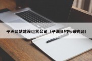 子洲网站建设运营公司（子洲县招标采购网）