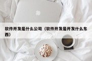 软件开发是什么公司（软件开发是开发什么东西）