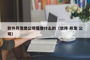 软件开发类公司是做什么的（软件 开发 公司）