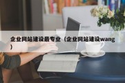 企业网站建设最专业（企业网站建设wang）