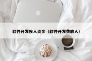 软件开发投入资金（软件开发费收入）