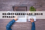 微信小程序开发需要掌握什么技术（微信小程序开发怎么样）