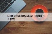 seo优化工具维芯cidun8（芯维是什么意思）