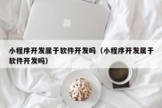 小程序开发属于软件开发吗（小程序开发属于软件开发吗）