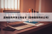 昆明软件开发公司名字（昆明做软件的公司）