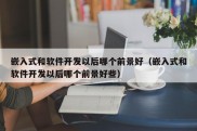 嵌入式和软件开发以后哪个前景好（嵌入式和软件开发以后哪个前景好些）