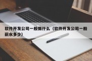 软件开发公司一般做什么（软件开发公司一般薪水多少）