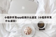 小程序开发app应用什么语言（小程序开发 什么语言）