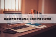 湖南软件开发公司排名（湖南软件企业排名）