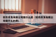 软件开发有限公司做什么的（软件开发有限公司做什么的啊）