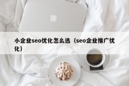 小企业seo优化怎么选（seo企业推广优化）