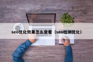 seo优化效果怎么查看（seo检测优化）