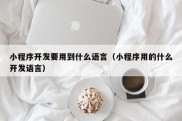 小程序开发要用到什么语言（小程序用的什么开发语言）