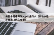 微信小程序开发appid是什么（微信小程序开发id码在哪看）