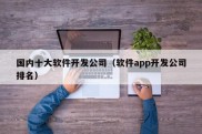 国内十大软件开发公司（软件app开发公司排名）