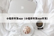 小程序开发app（小程序开发app开发）