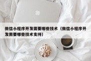 微信小程序开发需要哪些技术（微信小程序开发需要哪些技术支持）