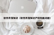 软件开发知识（软件开发知识产权归属问题）