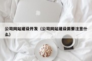 公司网站建设开发（公司网站建设需要注意什么）