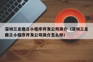 深圳三足鼎立小程序开发公司简介（深圳三足鼎立小程序开发公司简介怎么样）