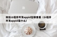 微信小程序开发appid在哪里看（小程序开发appid是什么）