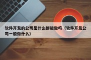 软件开发的公司是什么都能做吗（软件开发公司一般做什么）