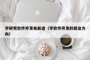 学研究软件开发有前途（学软件开发的就业方向）