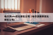 哈尔滨seo优化排名公司（哈尔滨搜索优化排名公司）