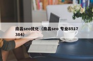 南昌seo优化（南昌seo 专业8517384）