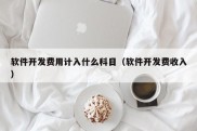 软件开发费用计入什么科目（软件开发费收入）