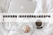 软件开发费用（软件开发费用能入固定资产吗）