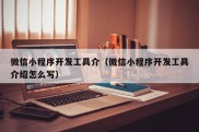 微信小程序开发工具介（微信小程序开发工具介绍怎么写）