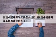 微信小程序开发工具怎么运行（微信小程序开发工具怎么运行不了）