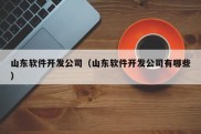 山东软件开发公司（山东软件开发公司有哪些）