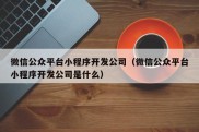 微信公众平台小程序开发公司（微信公众平台小程序开发公司是什么）