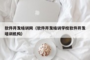 软件开发培训网（软件开发培训学校软件开发培训机构）